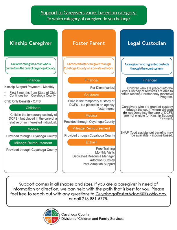 Infographic of caregiver categories